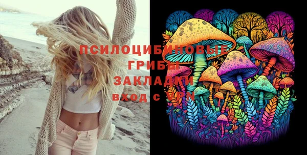 стаф Краснотурьинск