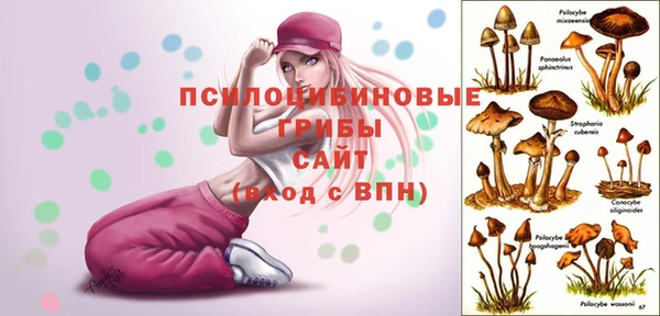 кокс Коряжма