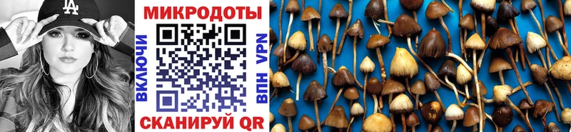 Купить где  Полесск  Галлюциногенные грибы ЛСД 